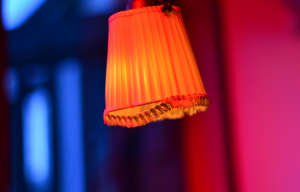 Maison éclose 18 avril 2015 © Anna-Maria Frusciante